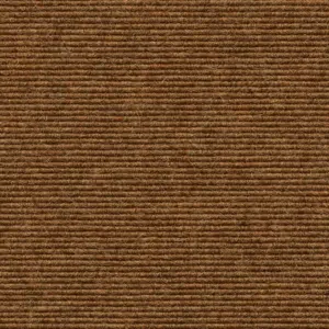 Interland - 572 - Nougat