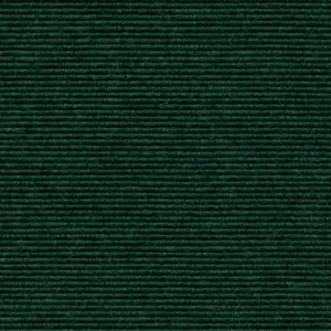 Interland - 700 - Wald