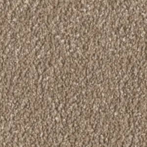 Fascination, Alba - 8L46