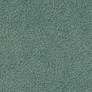 Fascination, Mira - 4H76