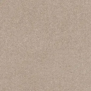 SmartStrand - 0251 OATMEAL