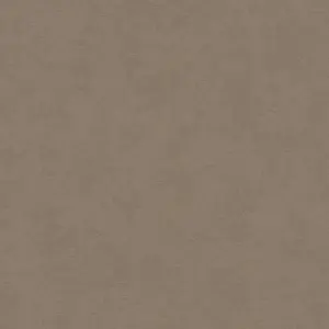 A.S. Création Vliestapete - 393419 - Braun  Unis