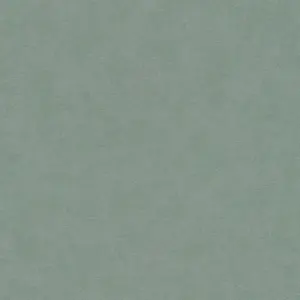 A.S. Création Vliestapete - 399387 - Grün  Unis