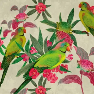 Livingwalls Vinyltapete - 382541 - Grün Rosa Vogeltapete