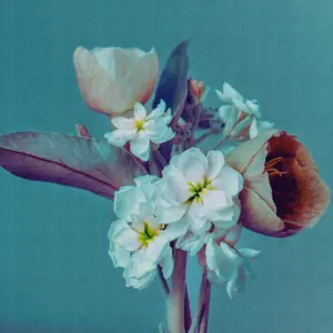 Livingwalls Vinyltapete - 382691 - Blau Lila Florale Tapete