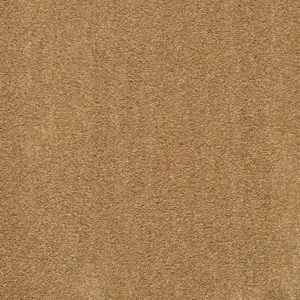 X Wohnen - 0380 BRONZE