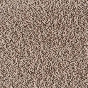 X Wohnen - 0420 BIBER