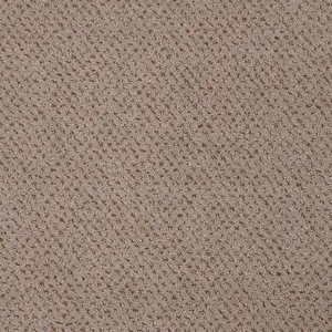 Pilotis - 262 CAMEL