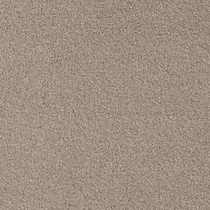 Pilotis - 230 FLAX