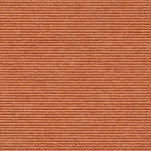 Ever - 591 - Lachs
