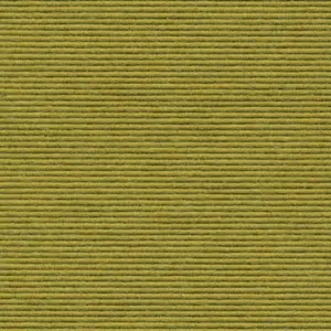 Interland - 643 - Tundra