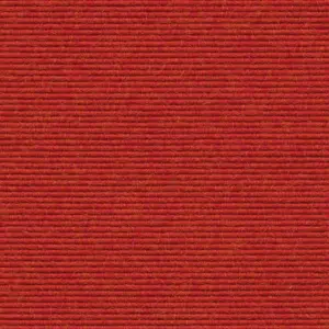 Interlife - 582 - Grapefruit