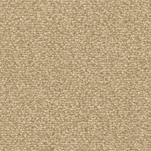 Fascination, Lyrica - 8L31