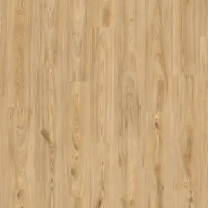 Home for Future - Fresh Chic Brown