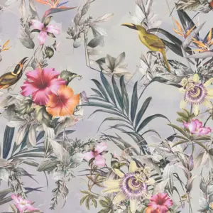 Dream Flowery
