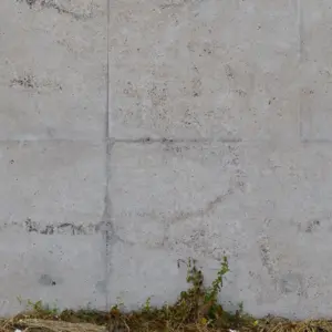 Livingwalls Vinyltapete - 392541 - Grau Beige Betonwand