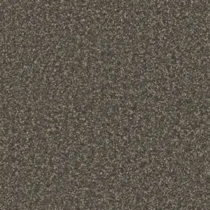 Pilotis - 820 SCHIEFER