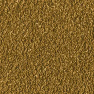 Fascination, Alba - 2F97