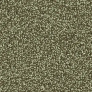 Fascination, Calla - 4H93