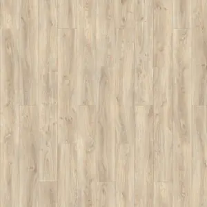 Home for Future - Modern Classic