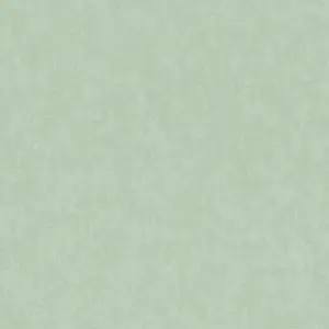 A.S. Création Vinyltapete - 375359 - Grün  Unitapete