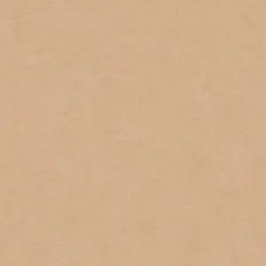 A.S. Création Vliestapete - 399385 - Beige  Unis