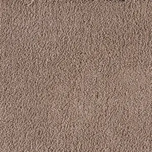 X Wohnen - 0420 BIBER