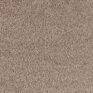 X Wohnen - 0260 CAMEL