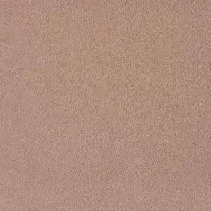 Zen - 261 CAMEL