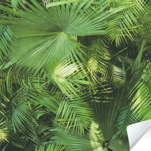 A.S. Création Bordüre - 380541 - Grün  Dschungeltapete