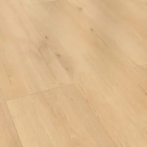 Sky.WoodXL - Eiche natur beige XL