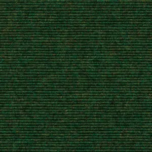 Interland - 565 - Tanne