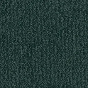 Fascination, Safira - 4H79