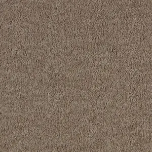 SmartStrand - 0430 SABLE