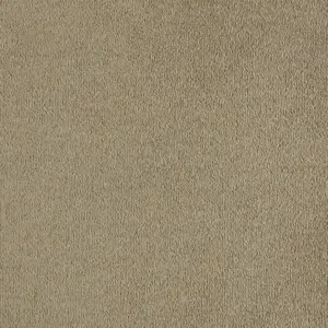 SmartStrand - 0260 BEIGE