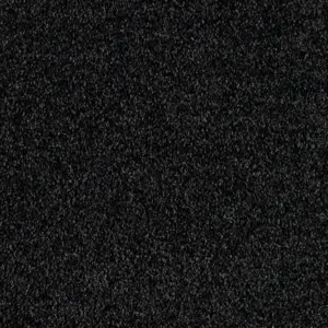 Euphoria - 0810 CHARCOAL