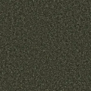 Pilotis - 590 MOOS