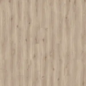 Home for Future - Minimalistic Flair Grege
