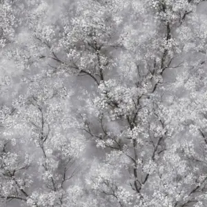 Livingwalls Vinyltapete - 374201 - Grau Schwarz Waldtapete