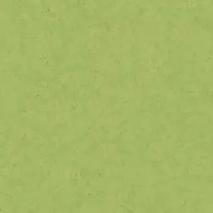 Livingwalls Vinyltapete - 378658 - Grün  Unitapete