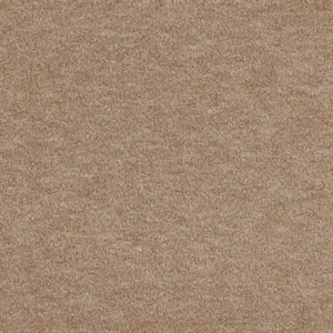 X Wohnen - 0264 CAMEL