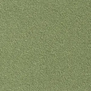Pilotis - 520 FERN