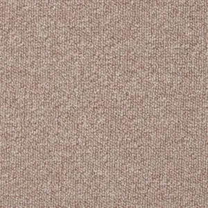 Lano Pilotis 220 ACORN 5-Meter Breit Teppichboden LGRF.500.0220