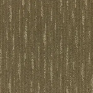 SmartStrand - 0420 BIBER