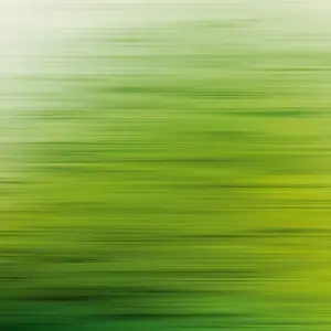 Livingwalls Vinyltapete - 382611 - Grün  Moderne Tapete
