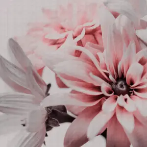 Livingwalls Vinyltapete - 382701 - Rosa Weiß Florale Tapete