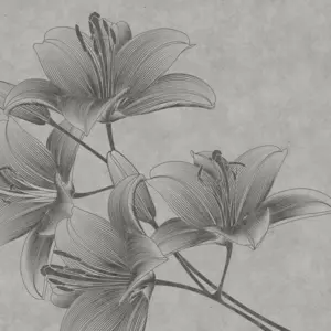 Livingwalls Vinyltapete - 382781 - Grau  Florale Tapete