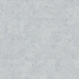 Livingwalls Vliestapete - 396566 - Hellgrau Silber Used-Look