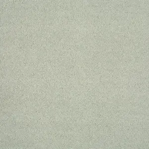Zen - 850 MOONBEAM
