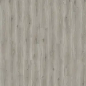 Home for Future - Minimalistic Flair Grey